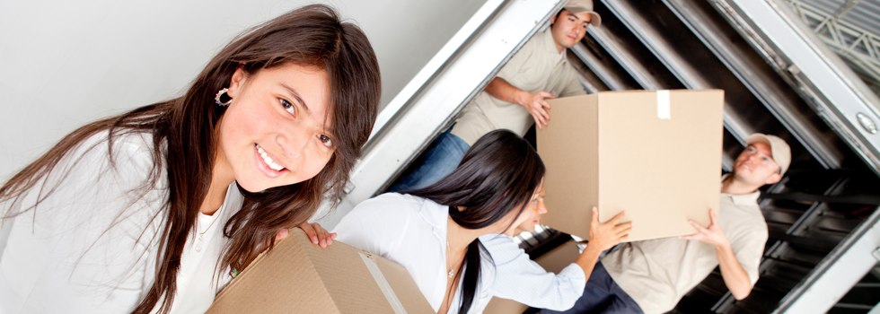 Professional Removalists Greenhill VIC